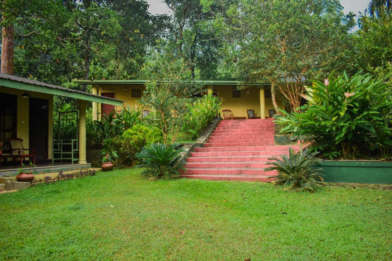 Blue Magpie Lodge Sinharaja Kudawe Exterior foto